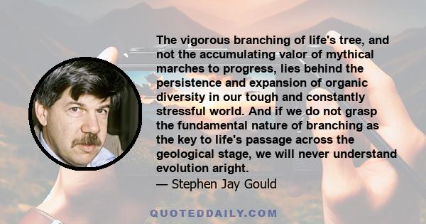 The vigorous branching of life's tree, and not the accumulating valor of mythical marches to progress, lies behind the persistence and expansion of organic diversity in our tough and constantly stressful world. And if