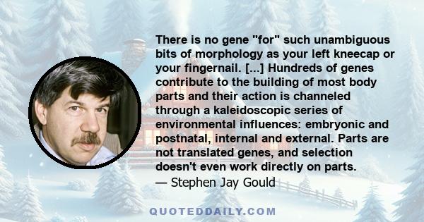 There is no gene for such unambiguous bits of morphology as your left kneecap or your fingernail. [...] Hundreds of genes contribute to the building of most body parts and their action is channeled through a