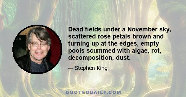 Dead fields under a November sky, scattered rose petals brown and turning up at the edges, empty pools scummed with algae, rot, decomposition, dust.