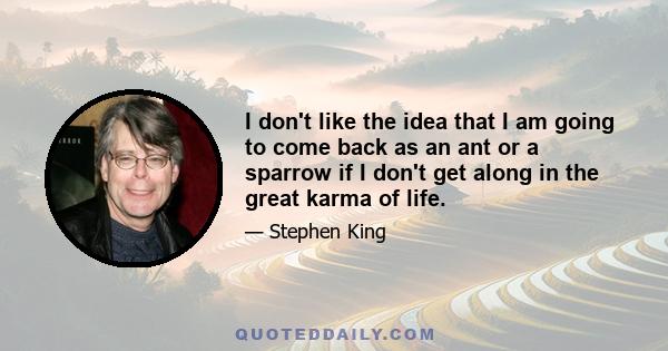 I don't like the idea that I am going to come back as an ant or a sparrow if I don't get along in the great karma of life.