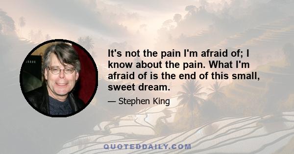 It's not the pain I'm afraid of; I know about the pain. What I'm afraid of is the end of this small, sweet dream.