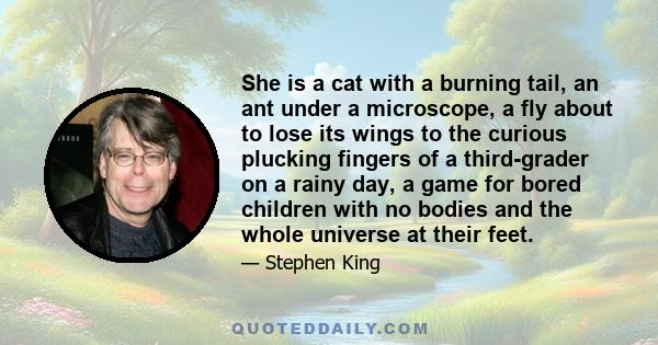 She is a cat with a burning tail, an ant under a microscope, a fly about to lose its wings to the curious plucking fingers of a third-grader on a rainy day, a game for bored children with no bodies and the whole