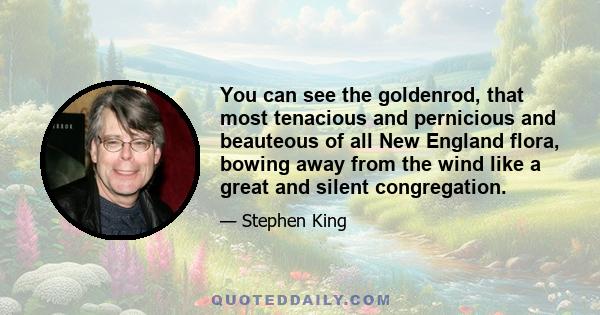 You can see the goldenrod, that most tenacious and pernicious and beauteous of all New England flora, bowing away from the wind like a great and silent congregation.