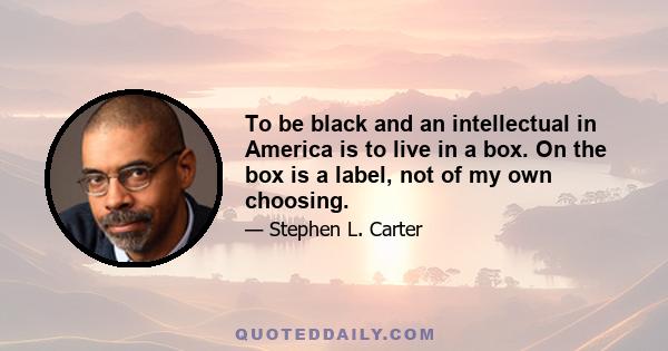 To be black and an intellectual in America is to live in a box. On the box is a label, not of my own choosing.