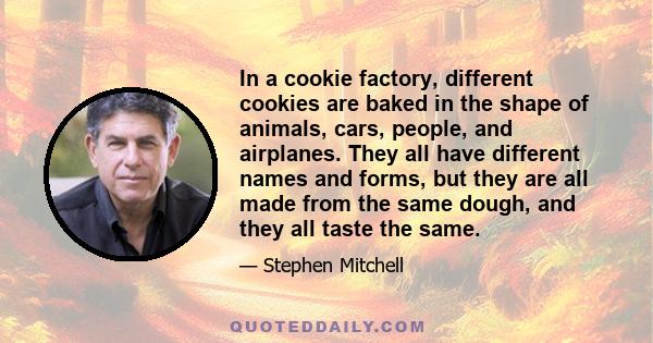 In a cookie factory, different cookies are baked in the shape of animals, cars, people, and airplanes. They all have different names and forms, but they are all made from the same dough, and they all taste the same.