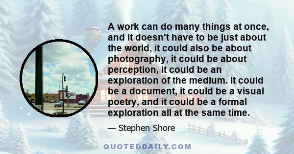 A work can do many things at once, and it doesn't have to be just about the world, it could also be about photography, it could be about perception, it could be an exploration of the medium. It could be a document, it