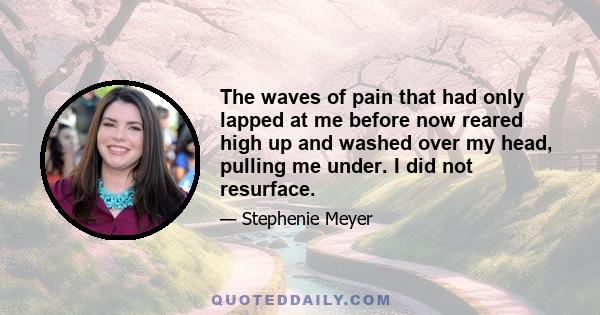 The waves of pain that had only lapped at me before now reared high up and washed over my head, pulling me under. I did not resurface.