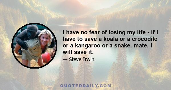 I have no fear of losing my life - if I have to save a koala or a crocodile or a kangaroo or a snake, mate, I will save it.