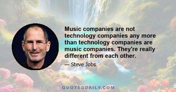 Music companies are not technology companies any more than technology companies are music companies. They're really different from each other.