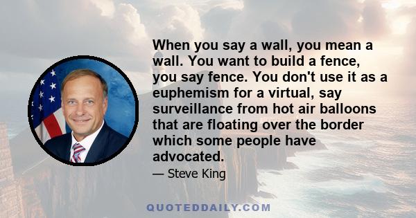 When you say a wall, you mean a wall. You want to build a fence, you say fence. You don't use it as a euphemism for a virtual, say surveillance from hot air balloons that are floating over the border which some people