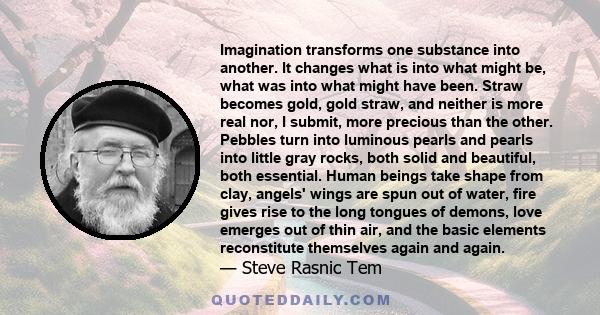 Imagination transforms one substance into another. It changes what is into what might be, what was into what might have been. Straw becomes gold, gold straw, and neither is more real nor, I submit, more precious than