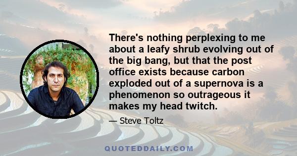 There's nothing perplexing to me about a leafy shrub evolving out of the big bang, but that the post office exists because carbon exploded out of a supernova is a phenomenon so outrageous it makes my head twitch.