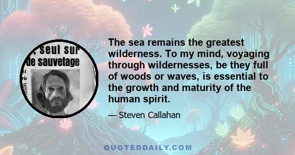 The sea remains the greatest wilderness. To my mind, voyaging through wildernesses, be they full of woods or waves, is essential to the growth and maturity of the human spirit.