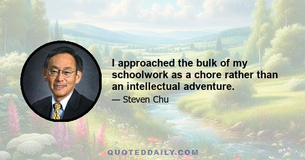 I approached the bulk of my schoolwork as a chore rather than an intellectual adventure.