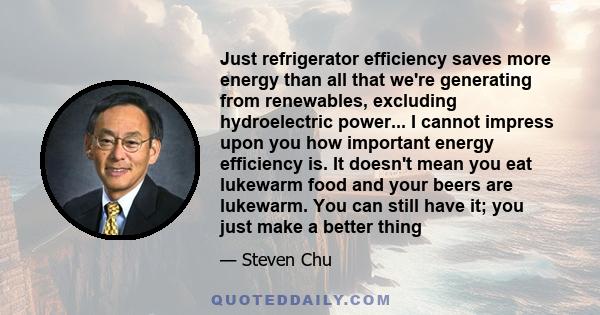 Just refrigerator efficiency saves more energy than all that we're generating from renewables, excluding hydroelectric power... I cannot impress upon you how important energy efficiency is. It doesn't mean you eat