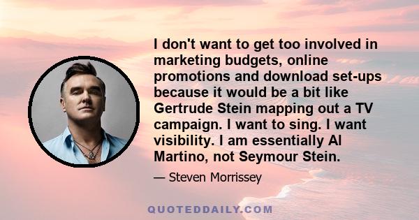 I don't want to get too involved in marketing budgets, online promotions and download set-ups because it would be a bit like Gertrude Stein mapping out a TV campaign. I want to sing. I want visibility. I am essentially