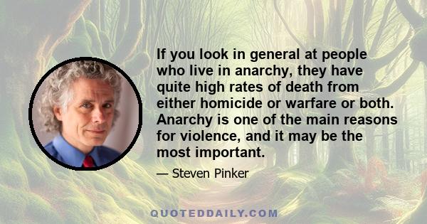 If you look in general at people who live in anarchy, they have quite high rates of death from either homicide or warfare or both. Anarchy is one of the main reasons for violence, and it may be the most important.