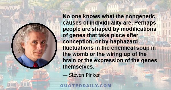 No one knows what the nongenetic causes of individuality are. Perhaps people are shaped by modifications of genes that take place after conception, or by haphazard fluctuations in the chemical soup in the womb or the