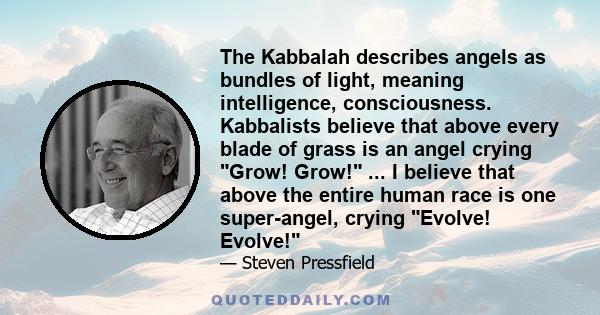 The Kabbalah describes angels as bundles of light, meaning intelligence, consciousness. Kabbalists believe that above every blade of grass is an angel crying Grow! Grow! ... I believe that above the entire human race is 