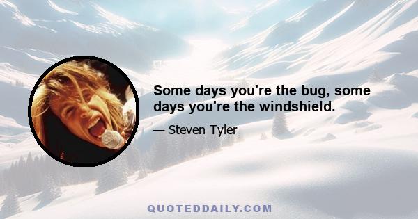 Some days you're the bug, some days you're the windshield.