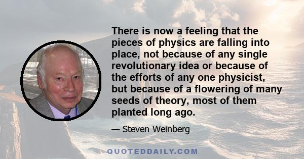 There is now a feeling that the pieces of physics are falling into place, not because of any single revolutionary idea or because of the efforts of any one physicist, but because of a flowering of many seeds of theory,