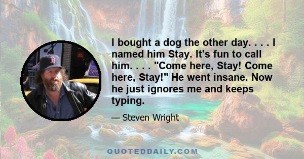 I bought a dog the other day. . . . I named him Stay. It's fun to call him. . . . Come here, Stay! Come here, Stay! He went insane. Now he just ignores me and keeps typing.