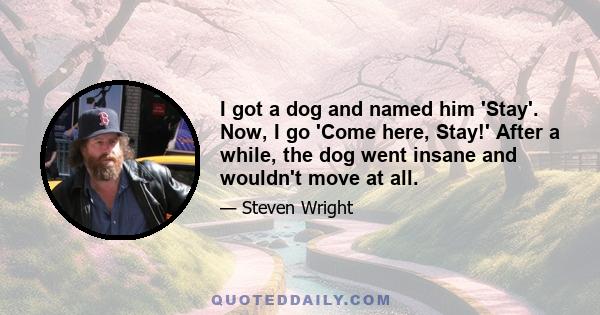 I got a dog and named him 'Stay'. Now, I go 'Come here, Stay!' After a while, the dog went insane and wouldn't move at all.