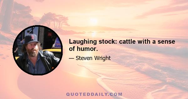 Laughing stock: cattle with a sense of humor.