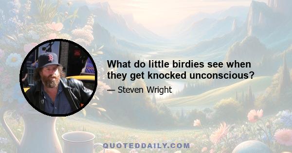 What do little birdies see when they get knocked unconscious?