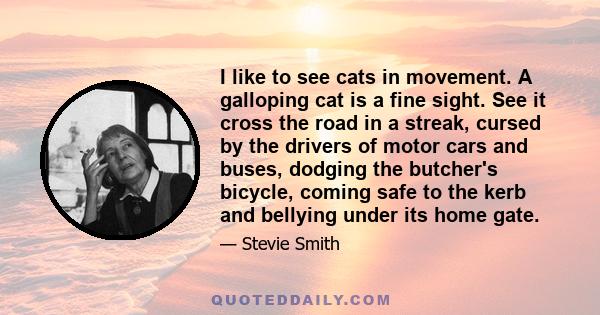 I like to see cats in movement. A galloping cat is a fine sight. See it cross the road in a streak, cursed by the drivers of motor cars and buses, dodging the butcher's bicycle, coming safe to the kerb and bellying