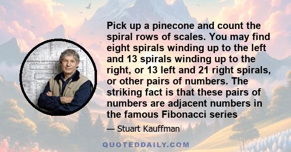 Pick up a pinecone and count the spiral rows of scales. You may find eight spirals winding up to the left and 13 spirals winding up to the right, or 13 left and 21 right spirals, or other pairs of numbers. The striking