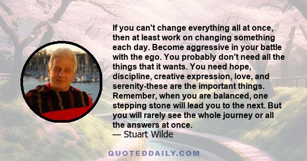 If you can't change everything all at once, then at least work on changing something each day. Become aggressive in your battle with the ego. You probably don't need all the things that it wants. You need hope,