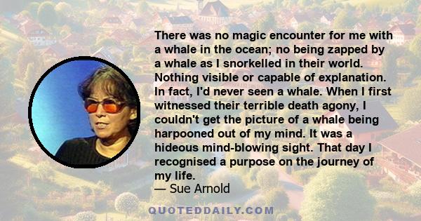 There was no magic encounter for me with a whale in the ocean; no being zapped by a whale as I snorkelled in their world. Nothing visible or capable of explanation. In fact, I'd never seen a whale. When I first