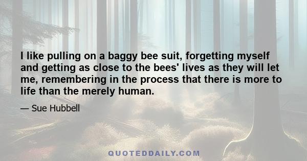 I like pulling on a baggy bee suit, forgetting myself and getting as close to the bees' lives as they will let me, remembering in the process that there is more to life than the merely human.