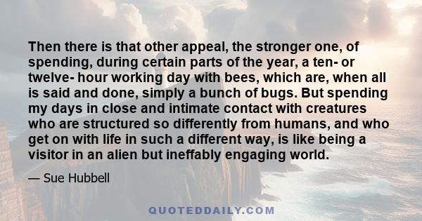 Then there is that other appeal, the stronger one, of spending, during certain parts of the year, a ten- or twelve- hour working day with bees, which are, when all is said and done, simply a bunch of bugs. But spending