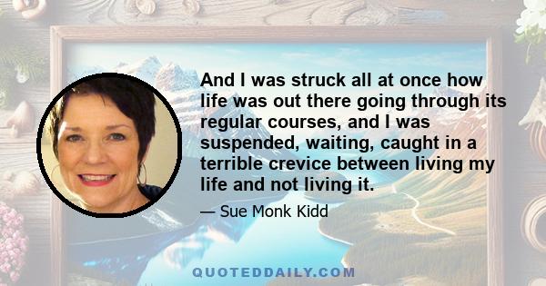 And I was struck all at once how life was out there going through its regular courses, and I was suspended, waiting, caught in a terrible crevice between living my life and not living it.