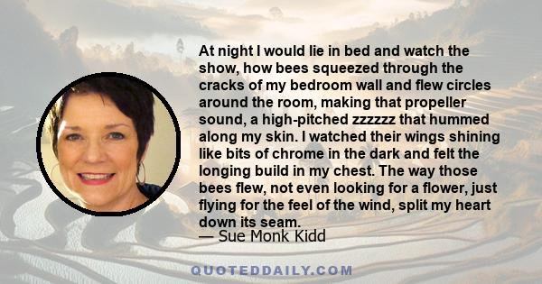 At night I would lie in bed and watch the show, how bees squeezed through the cracks of my bedroom wall and flew circles around the room, making that propeller sound, a high-pitched zzzzzz that hummed along my skin. I