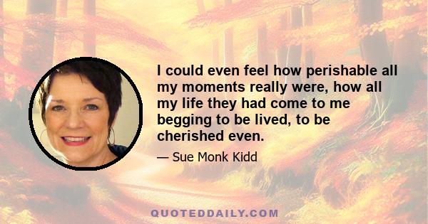 I could even feel how perishable all my moments really were, how all my life they had come to me begging to be lived, to be cherished even.