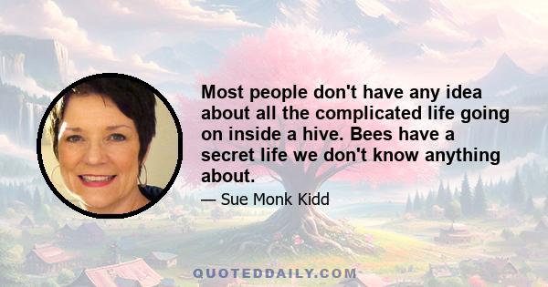 Most people don't have any idea about all the complicated life going on inside a hive. Bees have a secret life we don't know anything about.