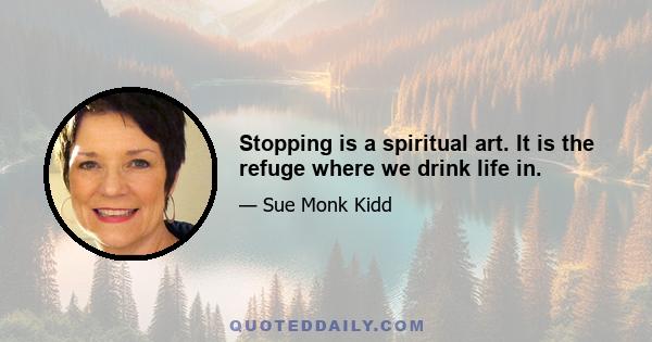 Stopping is a spiritual art. It is the refuge where we drink life in.