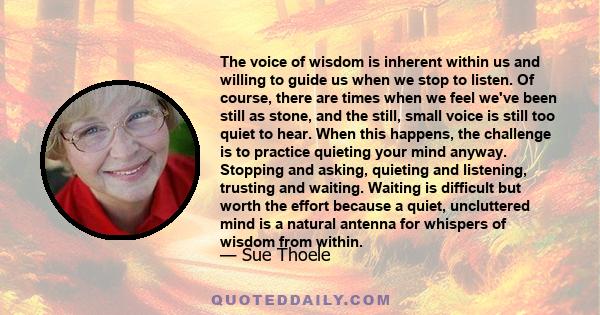 The voice of wisdom is inherent within us and willing to guide us when we stop to listen. Of course, there are times when we feel we've been still as stone, and the still, small voice is still too quiet to hear. When