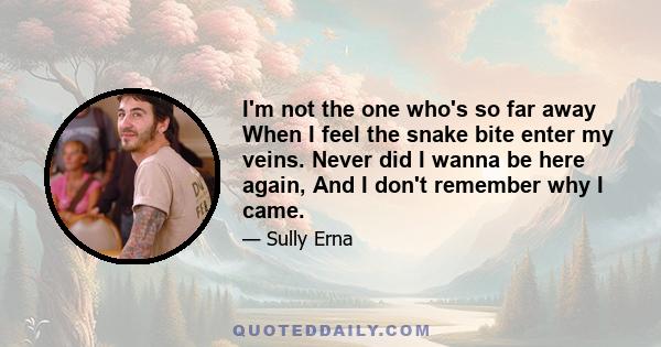 I'm not the one who's so far away When I feel the snake bite enter my veins. Never did I wanna be here again, And I don't remember why I came.