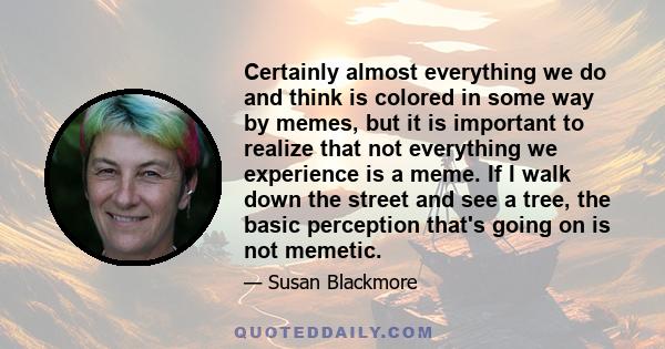 Certainly almost everything we do and think is colored in some way by memes, but it is important to realize that not everything we experience is a meme. If I walk down the street and see a tree, the basic perception