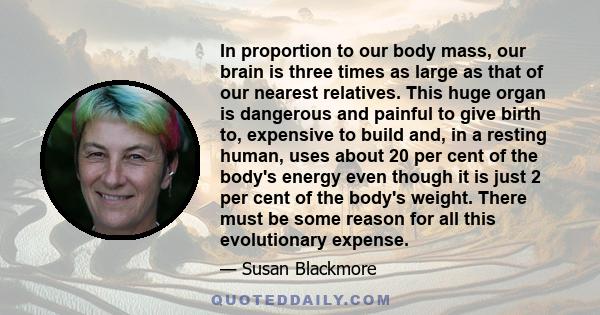 In proportion to our body mass, our brain is three times as large as that of our nearest relatives. This huge organ is dangerous and painful to give birth to, expensive to build and, in a resting human, uses about 20