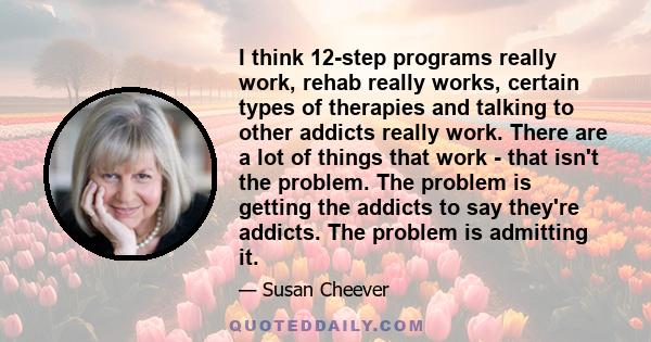 I think 12-step programs really work, rehab really works, certain types of therapies and talking to other addicts really work. There are a lot of things that work - that isn't the problem. The problem is getting the