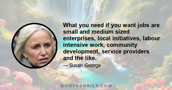 What you need if you want jobs are small and medium sized enterprises, local initiatives, labour intensive work, community development, service providers and the like.