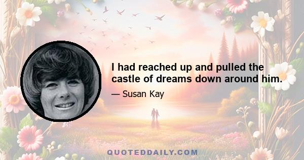 I had reached up and pulled the castle of dreams down around him.