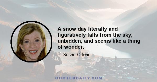 A snow day literally and figuratively falls from the sky, unbidden, and seems like a thing of wonder.