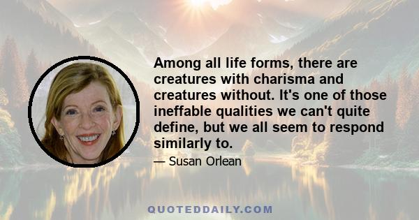 Among all life forms, there are creatures with charisma and creatures without. It's one of those ineffable qualities we can't quite define, but we all seem to respond similarly to.