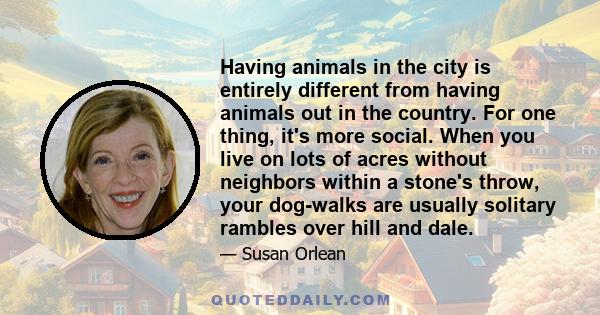 Having animals in the city is entirely different from having animals out in the country. For one thing, it's more social. When you live on lots of acres without neighbors within a stone's throw, your dog-walks are